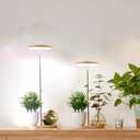 Plant Grow Light for Indoor Plant,Bamboo Mini LED Grow Light Garden,Height Adjustable,Automatic Timer with 8/12/16 Hours