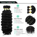 16 Inch Human Boho Braiding Hair, Deep Wave Bulk Hair Extension 100g Knotless No Weft 100% Virgin Hair 3 Bundles/Pack, Natural Black