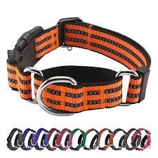 Martingale Dog Collars Reflective Nylon Dog Collar with Quick Release Buckle Adjustable Training No Slip Dog Collar, S (Orange)
