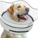 Elevated Inflatable Dog Cone Collar Alternative After Surgery, Dog Donut Collar, Soft Pet Cone to Stop Licking for Small Medium Large Dogs (M(Neck 9"-12.5"), Solid Grey)