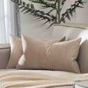 JUSPURBET Cloud Lumbar Velvet Throw Pillow Covers 16x24 inch Set of 2 for Living Room Couch Sofa Bedroom Decorative Rectangle Solid Soft Cushion Cases with Invisible Zipper