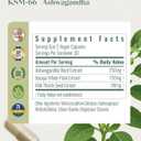 Ashwagandha Supplements for Women & Men - KSM-66 with Bacopa & Milk Thistle, 60 Vegan Capsules - Stress Relief, Mood, Cortisol Support, Extra Strength Ashwagandha Capsules