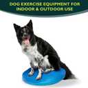 FitPAWS Dog Balance Disc 22, Blue | Dog Exercise Equipment | Workout Tool for Strength, Core, Stability & Rehabilitation
