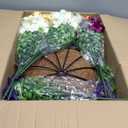 2 Set Artificial Outdoor Flowers with Hanging Baskets,24 Pcs UV Resistant Faux Petunias Flowers with Hanging Planter for Front Door Porch Spring Outside Decor (2, White,Yellow,Purple,RedViolet)