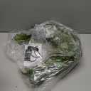 24''Fern Wreath for Front Door - Artificial Greenery All Seasons Wreath Fake Hanging Ferns Plants for Wedding Centerpieces Table Front Door Decoration, with LED Warm Lights