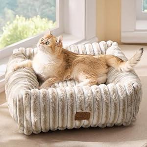 Bedsure ComfyFleece Cute Dog Bed for Small Dogs & Cats - Washable Furry Cat Beds, Rectangle Orthopedic Corduroy Fleece Puppy Beds with Removable Zipper Cover, 20x19x6inches, Amphora