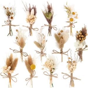 12 Pack Dried Flower Bouquet Mini Natural Pampas Grass for Crafts Small Dried Embossing Florat with Stem Boho Artificial Arrangement Wedding Derco Flowers Bundles for Vases, Wedding, Home, Party