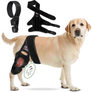 Medium Dog Knee Brace for Torn Acl Hind Leg - Adjustable Dog Back Leg Support - Dog Leg Braces for Back Leg Injury Recovery, Stability, Arthritis & Joint Pain Relief - Comfortable & Vet-Recommended