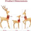 3D Gold Christmas Deer Family Set, 210 LEDs, 26 x 11 x 54 inches