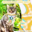 Cat Harness and Leash Set for Walking,Escape Proof Adjustable Cat Vest Harness with Reflective Strips,Breathable Lightweight Soft Mesh Kitten Harness and Leash for Kitty Bunny Puppy,XS