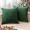 MIULEE Pack of 2 Aqua Green Decorative Pillow Covers 18x18 Inch Soft Chenille Couch Spring Throw Pillows Farmhouse Cushion Covers for Home Decor Sofa Bedroom Living Room