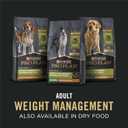 Purina Pro Plan Weight Management Wet Dog Food Turkey and Rice Entree in Gravy - (Pack of 12) 13 oz. Cans (EXP 09/30/27)