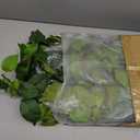 Ucky 4Pack Total 24FT Green Fake Vines Ivy Leaves Vines for Bedroom Greenery Garland Fake Leaves Leaf Wall Decor Faux Hanging Vines Plants Outdoor Garland