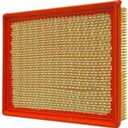 Wix Filters PXA42487 Air Filter