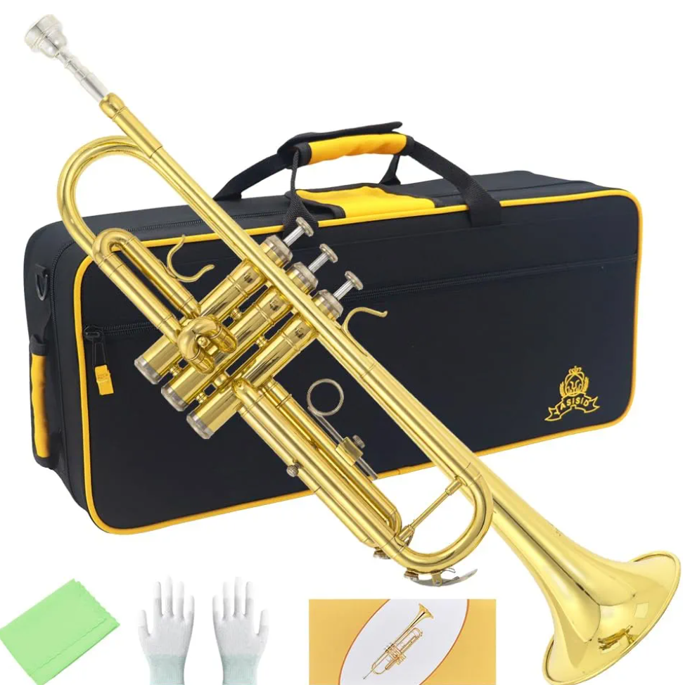 Trumpet Instrument,Band & Orchestra Musical Instruments for Beginners,With trumpets case,Mouthpiece,Cloth and Gloves (Golden)