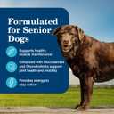 Blue Buffalo Homestyle Recipe Senior Wet Dog Food, Made with Natural Ingredients, Chicken Dinner with Garden Vegetables, 12.5-oz Cans (12 Count) (EXP 06/10/28)