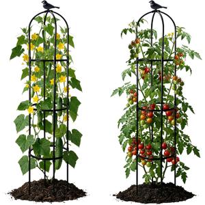 2 Pack Garden Obelisk Trellis for Climbing Plants, 6FT Plant Cages and Supports, Tomato Cage Tall Plant Stakes Indoor & Outdoor, Trellis for Potted Plants, Vegetables, Fruits, Flowers, Pots, Vines