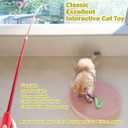 MeoHui Cat Toys for Indoor Cats, Interactive Cat Toy 2PCS Retractable Wand Toy and 9PCS Cat Feather Toys Refills, Funny Kitten Toys Cat Fishing Pole Toy for Bored Indoor Cats Chase and Exercise