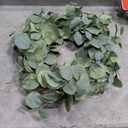 Eucalyptus Wreaths for Front Door 20", Handmade Green Leaves Wreath for Summer, Spring and All Seasons, Greenery Floral Wreath for Wall and Outside
