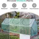 BPS 9x3x3 ft Mini Greenhouse with Green PE Cover UV-Protected Roll-Up Zipper Doors, Ideal for Indoor or Outdoor Use on Raised Garden Beds