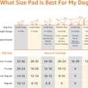Amazon Basics Carbon Odor Control Dog and Puppy Pee Pads, 5-Layer Leak-Proof Super Absorbent, Quick-Dry Surface for Potty Training, Regular Size 22"x22", Gray, 120 Count
