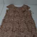 Alex Evenings womens Plus-size Midi Cap Sleeve Dress With Sequin Color: Rose Gold Size: 24W