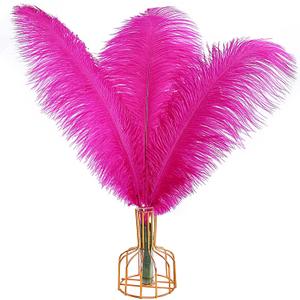 THARAHT Hot Pink Ostrich Feathers 12pcs Large Natural Bulk 16-18Inch 40cm-45cm for Wedding Party Centerpieces Easter Gatsbi and Home Decoration Feathers (Fuchsia)