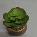 allgala Small Desktop Artificial Succulent Plant Indoor and Outdoor Indoor Fake Plants with Natural Clay Pot