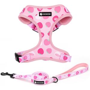 Dog Harness and Leash Set, Adjustable Dog Harness, Dog Leash, No Pull No Choke Puppy Harnesses for Walking Training for Small Medium Pet (Strawberries, M(Chest 15.7-22.1", Neck 12-15"))