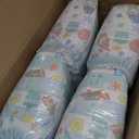 Pampers Training Pants - Easy Ups Boys & Girls Bluey - Size 5T-6T, 84 Count, Children's Potty Underwear 