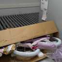 JOYSTAR Unicorn 16 Inch Kids Bike for 4-6 Years Old Princess Girls Bike with Doll Bike Seat Training Wheels Basket Streamer Children Bicycle Fuchsia