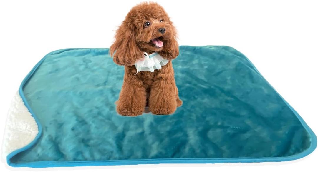Bucephalus Waterproof Dog Blanket - Thick Reversible Sherpa Fleece Pet Blanket for Couch Bed Sofa Protector, Pee Resistant Washable Soft Blanket for Dogs Puppy Cats Puppies (25x35 Inches, Teal)