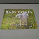 Baby Goat Calendar 2026 Monthly Wall Calender 12 Month | American Made In The USA