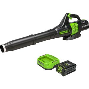 Greenworks 80V (150 MPH / 500 CFM / 75+ Compatible Tools) Cordless Axial Leaf Blower, 2.0Ah Battery and Charger Included