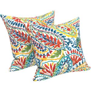 LVTXIII 2 Pack Outdoor Pillow Covers ONLY 18x18 Inch, Water-Repellent Square Decorative Cushion Covers for Patio Furniture, Garden, Sofa, Paisley Multi