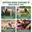 Adjustable Dog Hind Leg Brace, Dog Knee Brace for Torn ACL Hind Leg with Metal Stabilizer- Keeps The Joint Warm and Stable,4 Sizes, L.