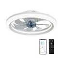 OurEDee 20'' Ceiling Fan with Lights & Remote, Low Profile, 6 Wind Speeds, Dimmable Light, Modern White Flush Mount, Smart for Home (Gold+Grey)