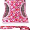 Step in Dog Harness Leash Set- All Weather Reflective No-Pull Floral Pattern Padded Mesh Vest Harness for Cats Puppy Dogs - Pink Flower - Small