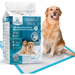 Large Puppy Pads 100 Count - 24" x 24" Pee Pads for Dogs with Adhesive Sticky Tapes, Ultra Absorbent Dog Pads, Perfect for Incontinent Dogs and Potty Toilet Training (Blue)