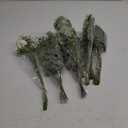 110 Pcs 7 Kinds Mixed Artificial Eucalyptus Stems and Faux Flowers,Fake Silver Dollar Eucalyptus Leaves Stems Bulk Real Touch Leaf Branches for DIY Bouquets Floral Arrangement Wedding Home Decor (Green)