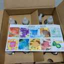 AIR WICK® Plug In Scented Oil Air Freshener Refill Mixed Pack - 4 Count Oil Refills Spring LHR+CSP+PR+SP 4 ct., Essential Oils