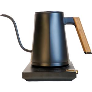 Turin Electric Pour Over Kettle | 600ml Stainless Steel Gooseneck Kettle with Precise Temperature Control, Rapid Heating, and Ergonomic Handle
