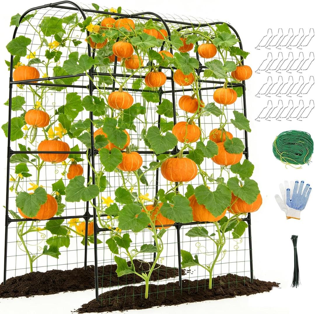 7.2FT Cucumber Trellis for Raised Bed, Garden Arch Trellis with Net, Rustproof Metal Plant Support for Climbing Plants Outdoor, Tomato Zucchini Squash Bean Pea Melon Vine, Rose Flower Garden Arbor (Black - 86.61" * 70.86")
