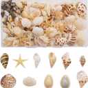 yaokan 130PCS/Box Mixed Lots Sea Shell Cowrie Conch Starfish Ocean Beach Spiral Seashell with Hole for Resin Craft Candle Making Wishing Bottle Wedding Home Fish Tank Decoration