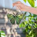 Luna Moth Ornaments Decor - Luna Moth Gifts for Women Men - Home Wall Room Kitchen Christmas Decorations - Acrylic Ornament