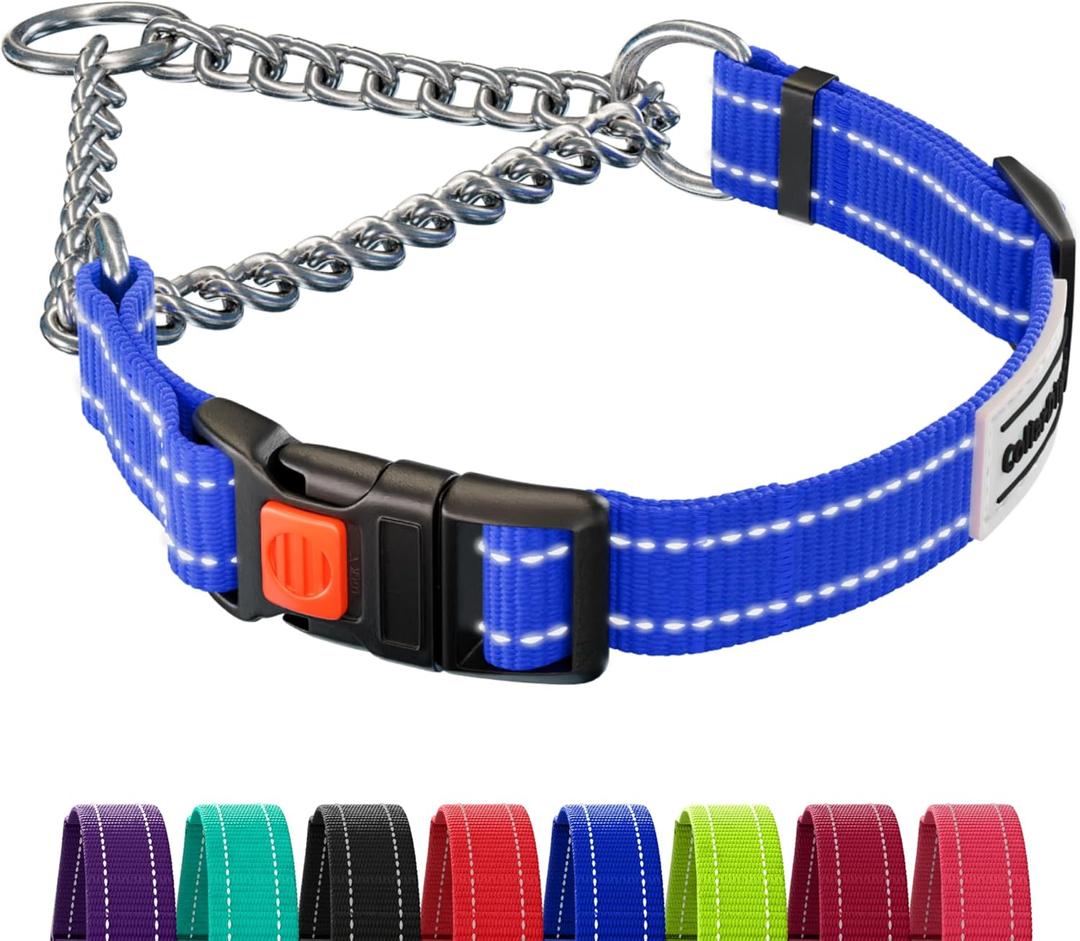 CollarDirect Martingale Dog Collar with Stainless Steel Chain and Quick Release Buckle - Reflective Collar for Large, Medium, Small Dogs - Blue, Medium (Neck Size 14"-17")