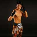 TUFF Muay Thai Boxing Shorts "Grey Roaring Tiger" (XL)