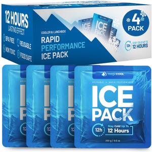 4 Pack Large Reusable Ice Packs for Coolers, BPA-Free Freezer Packs for Cooler, Leakproof, Food Safe, Long Lasting, 9.8 x 8.6 in