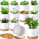 Roshtia 12 Pack 3.5 Inch Ceramic Succulent Pots with Drainage White Small Plant Pots with Bamboo Tray Mini Ceramic Cactus Succulent Pots for Indoor Outdoor Office Home Garden, Plants Not Included
