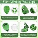 65PCS Plant Wall Clips, Plant Climbing Wall Fixture Clips, Wall Vines Fixing Clips with 65 Adhesive Stickers, Self-Adhesive Plant Fixer for Vine Support and Indoor Outdoor Decoration (65, Green)